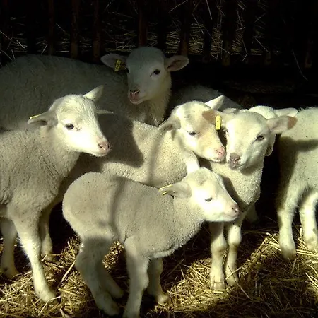 Casa rural Casa Caxigueiro *