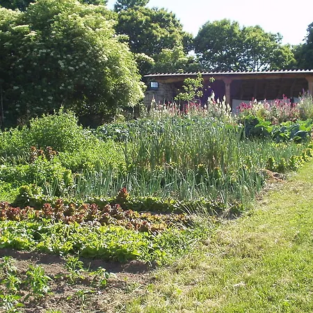 Casa rural Casa Caxigueiro Sabenche