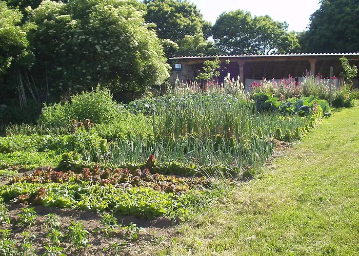 カントリーハウス Casa Caxigueiro Sabenche
