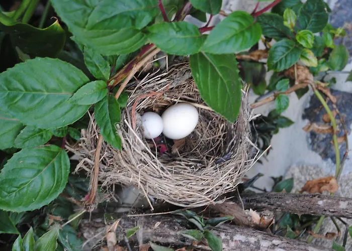カントリーハウス Casa Caxigueiro Sabenche